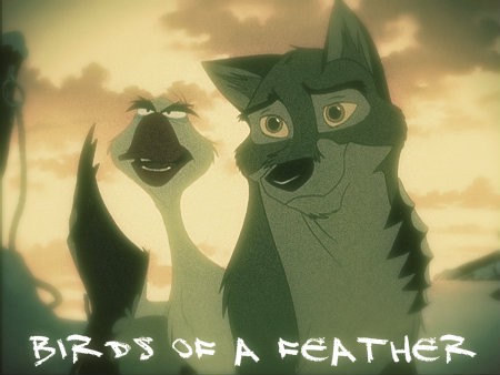 Birds of a Feather