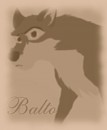 Balto