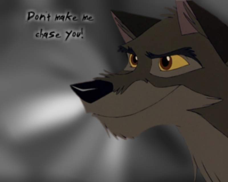 Chase You