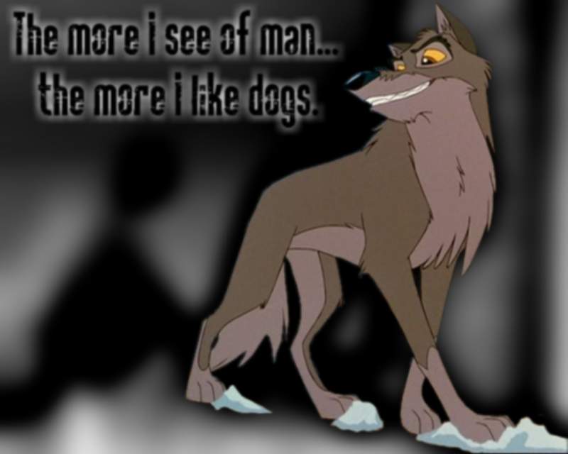 Dogs
