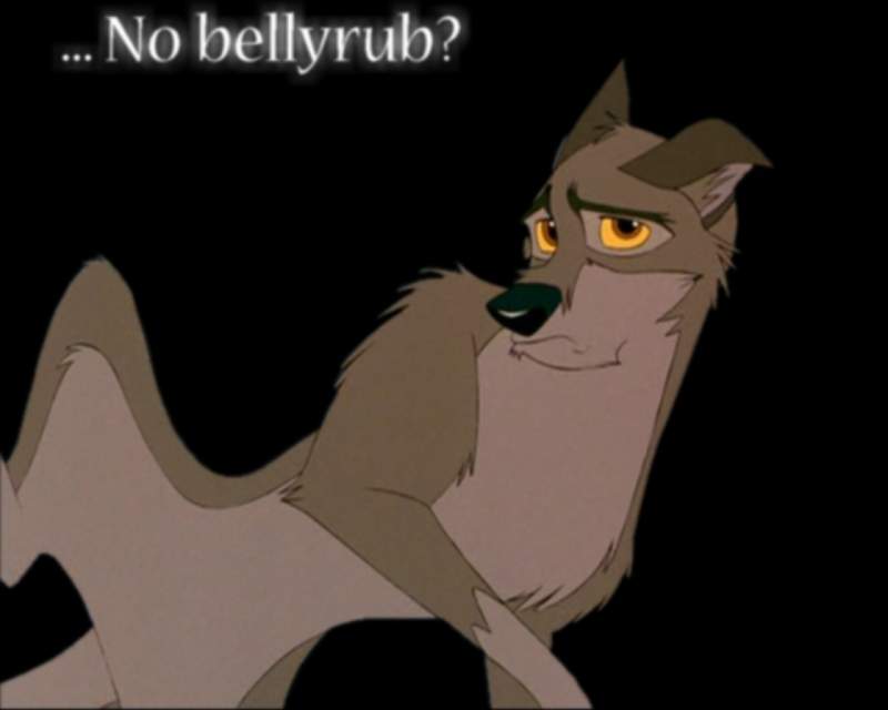 Bellyrub