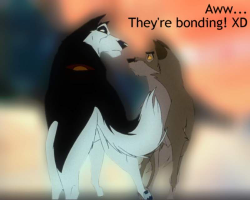 Bonding