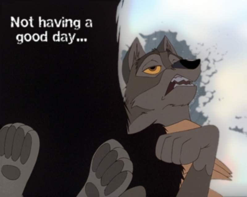 Not