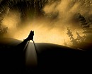 Silhouette