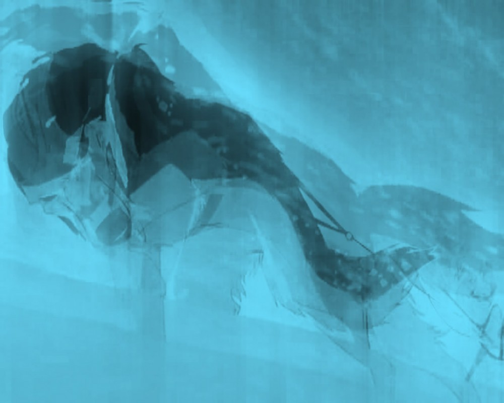 Blue Steele