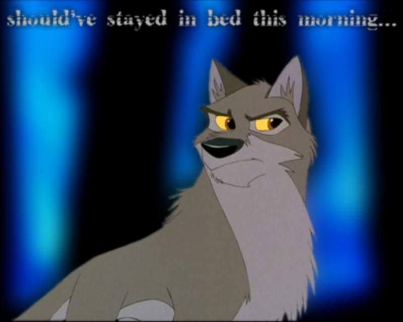 Should've Stayed In Bed