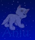 Aniu