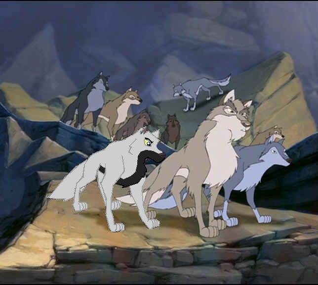 Eclipse in her pack