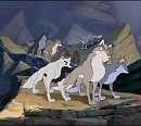 Eclipse in her pack
