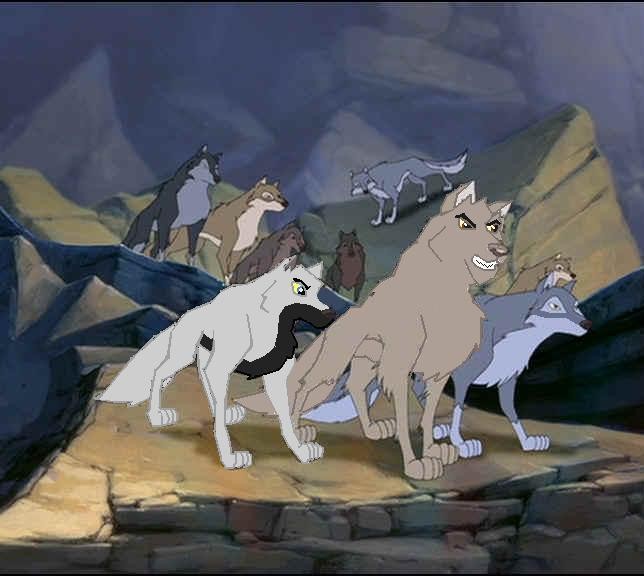 Calif's pack