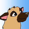 Sandi Icon