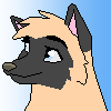 Kat Icon