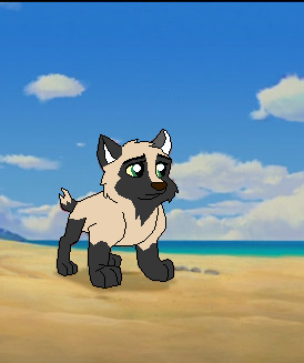Breeze :3