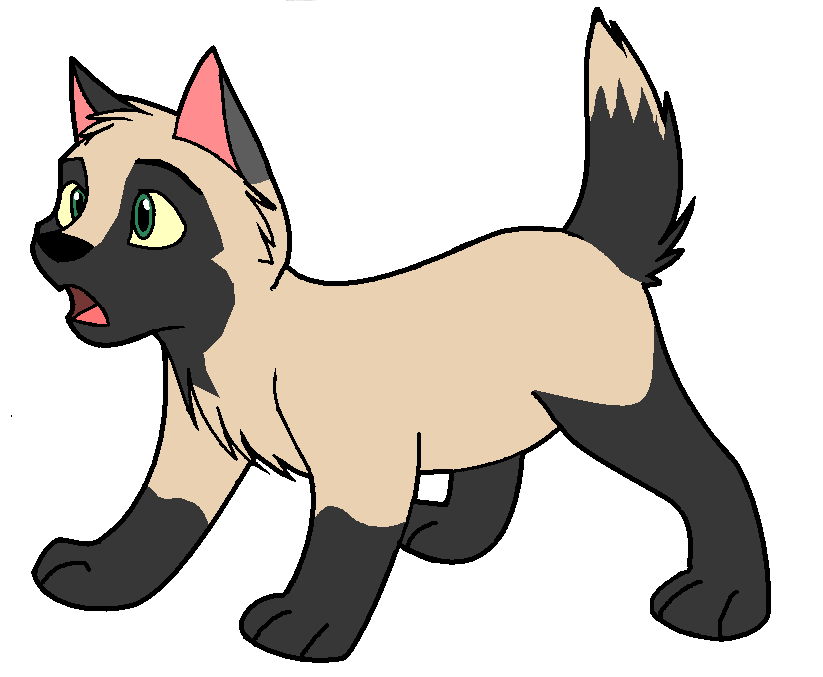 Breeze 8D