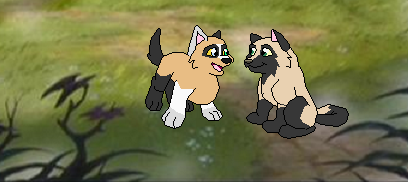 Breeze and Mako