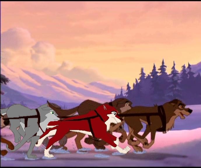 Balto leading Achala's team