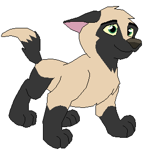 Breeze Ref