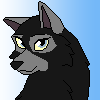 Kioni Icon