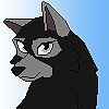 Kioni Icon