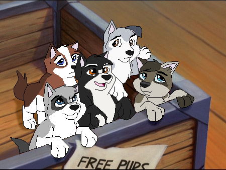 Random Puppies