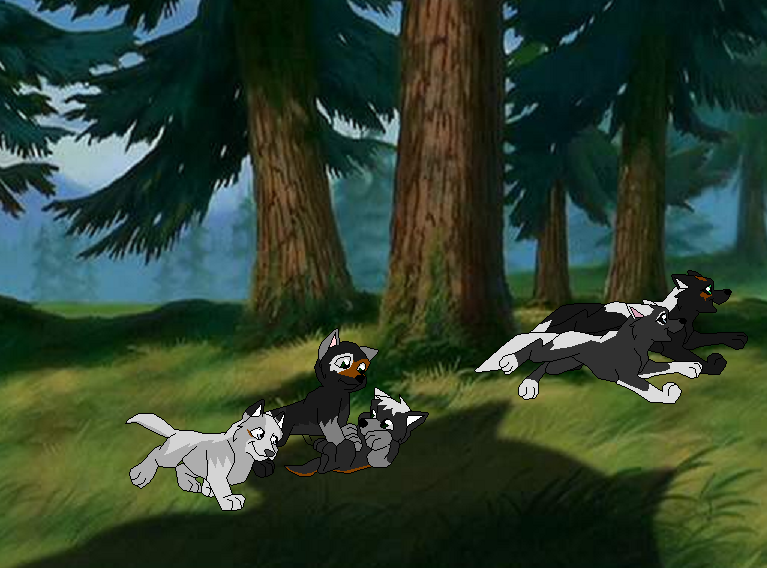 Puppehz