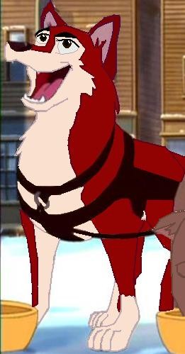 Achala sleed dog