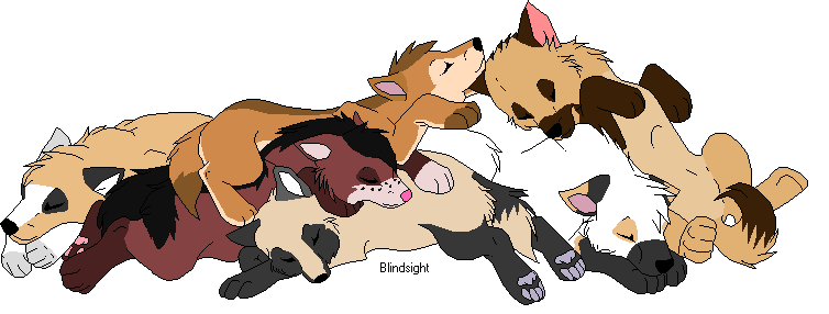 sleepin puppehs :3