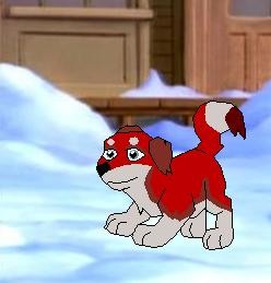 Fan pup for Saimar and Andal