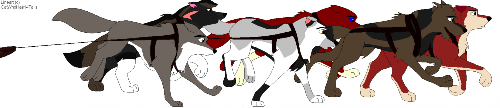 Achala's Sled team
