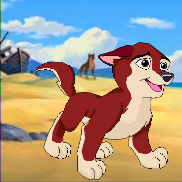 Achala as a puppy