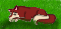 Sleeping in the meadow