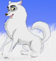 Shasta