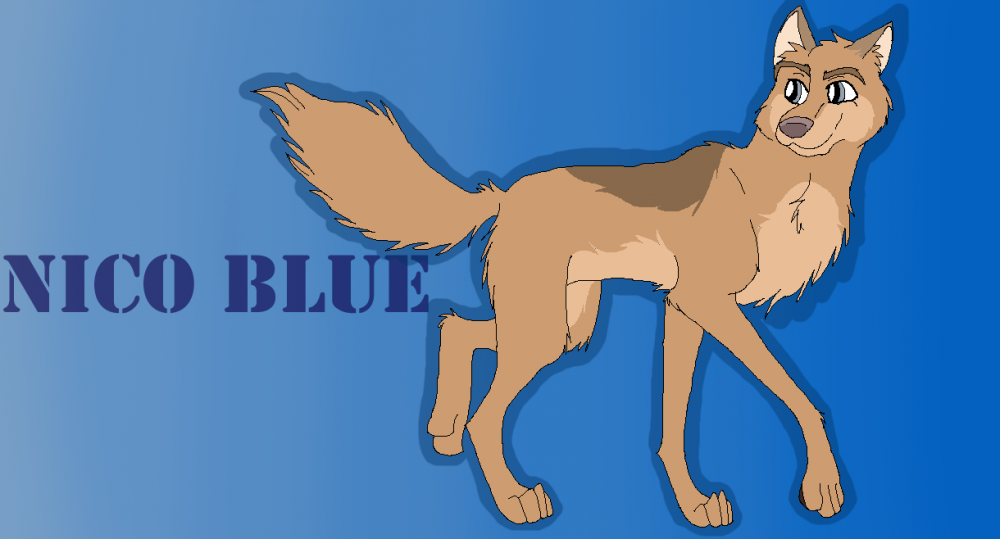 Nico Blue