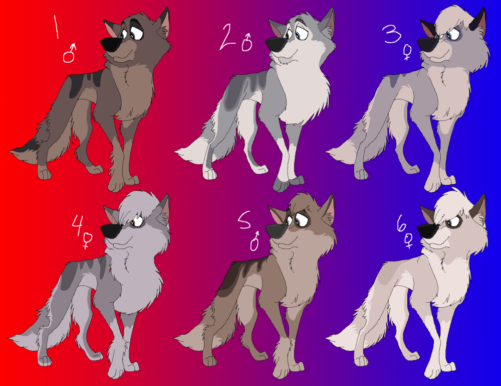 Ohmai Puppies? 