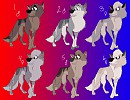 Ohmai Puppies? 