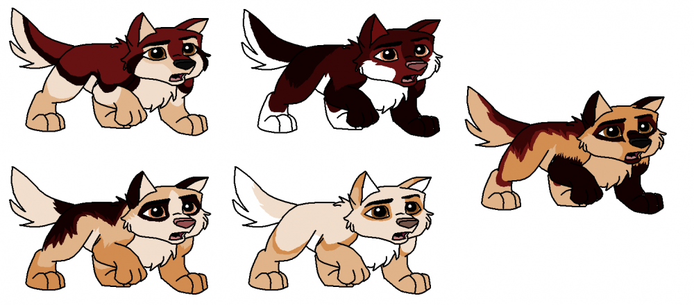 My five pups....