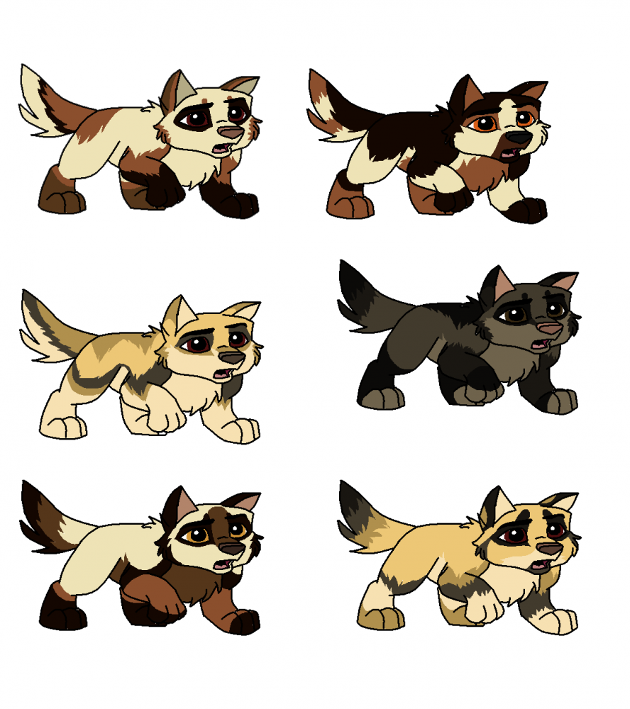 Lara x Aberdeen Puppies