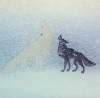Howl.