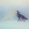 Howl.