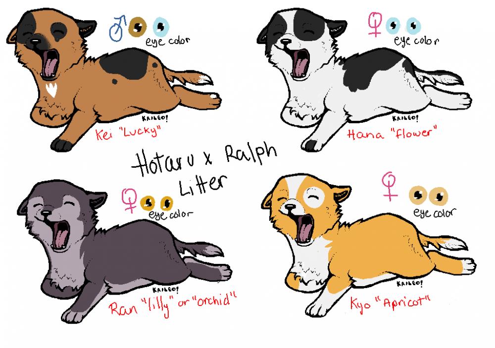 Hotaru x Ralph Puppies