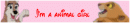 I'm a animal girl XD