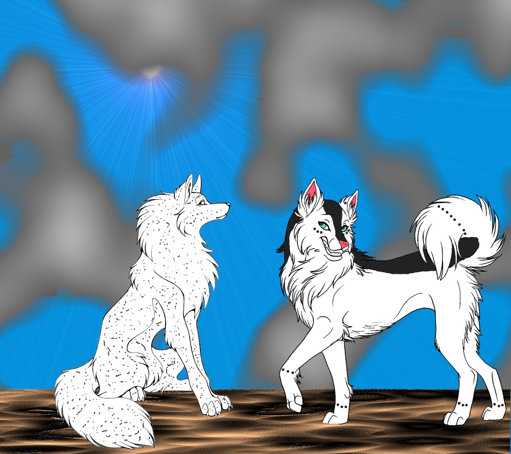 A tail of two dogs