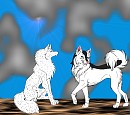 A tail of two dogs