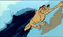 I can't swim