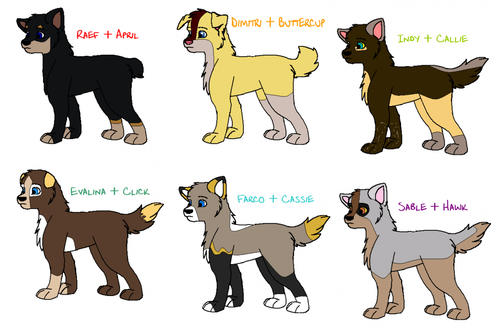 6 Fan puppers!