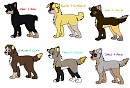 6 Fan puppers!