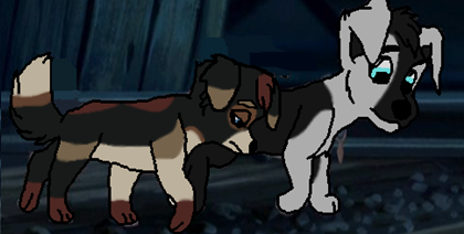 Aww