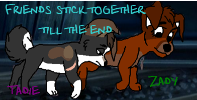 Friends Stick Together Till The End