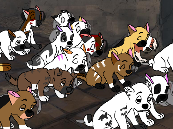 So Many Puppers