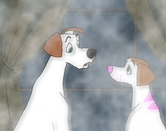 Rory & Tippy talking